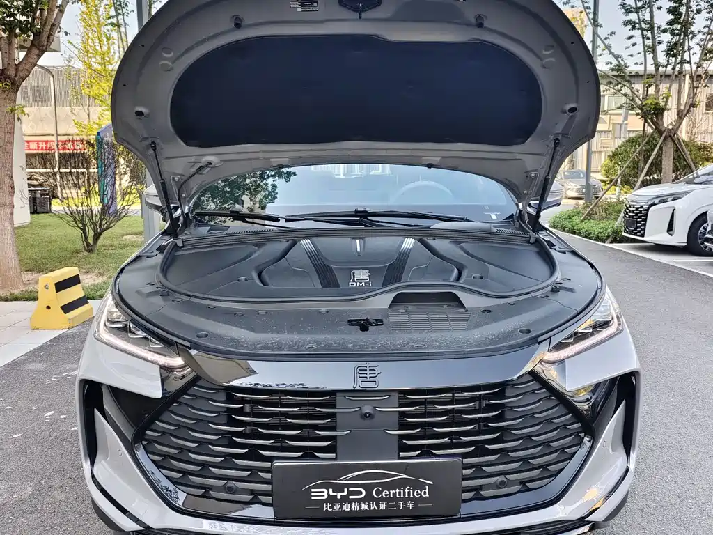 BYD Tang New Energy — миниатюра 2
