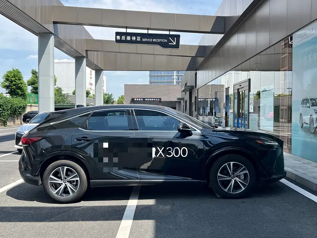 Lexus RX — миниатюра 13