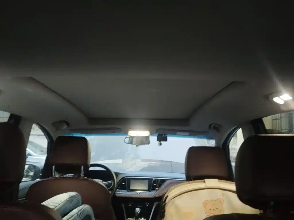 Buick GL6 — миниатюра 14