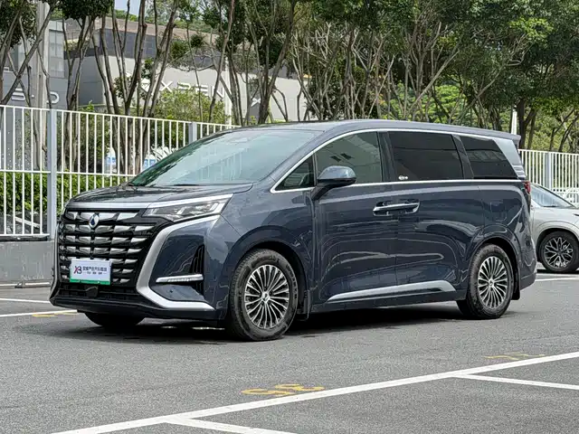2023 Denza D9