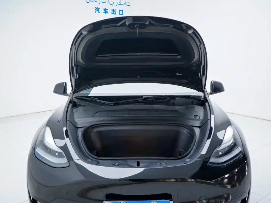 Tesla Model Y — миниатюра 15