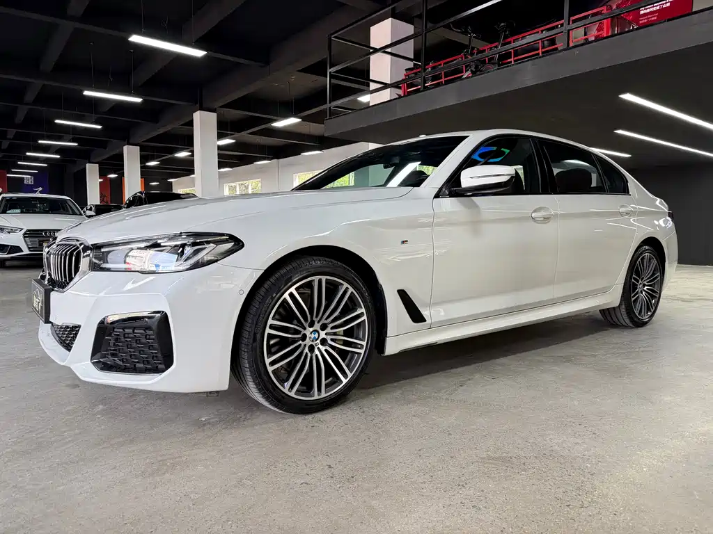 BMW 5 Series 2019