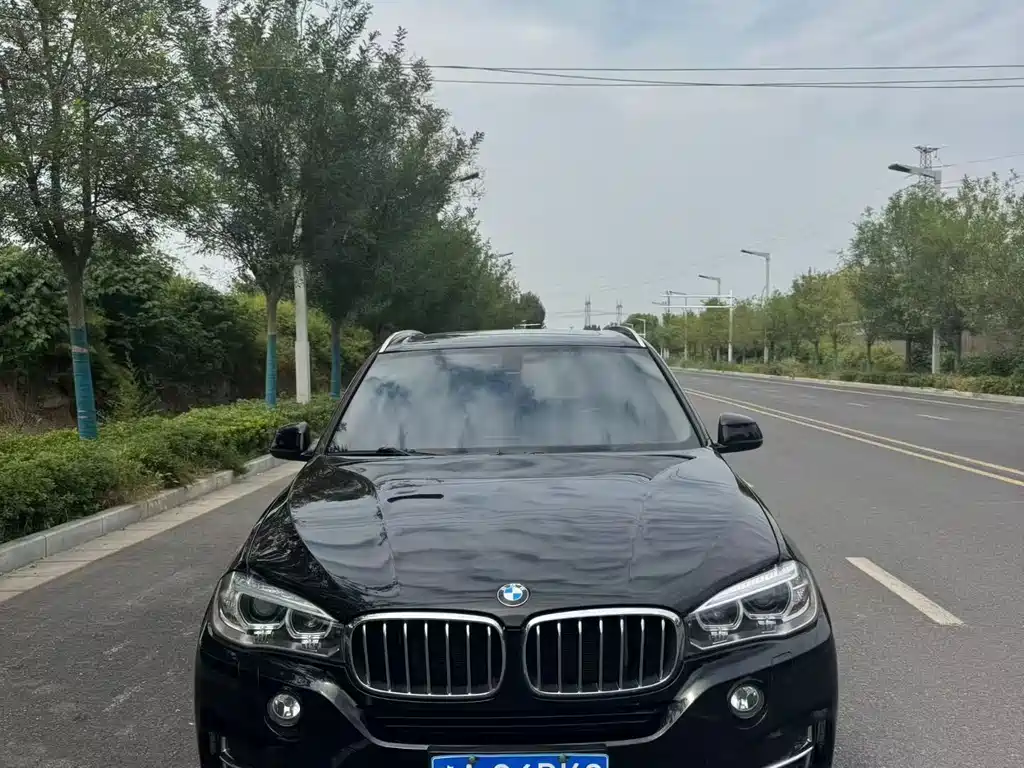 BMW X5 (Import) — миниатюра 2