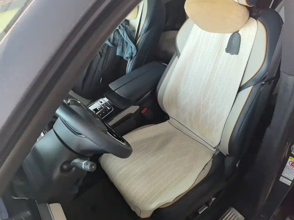 BYD Tang New Energy — миниатюра 15