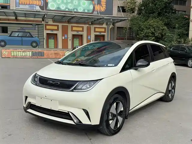 2023 BYD Dolphin