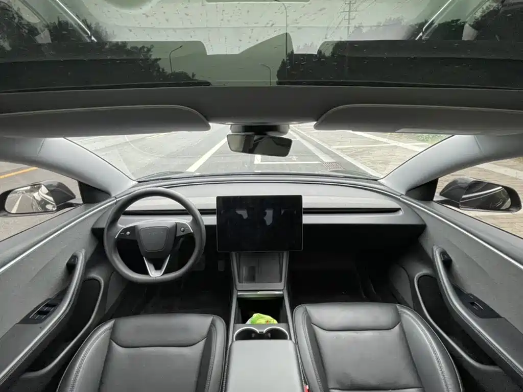 Tesla Model 3 — миниатюра 14