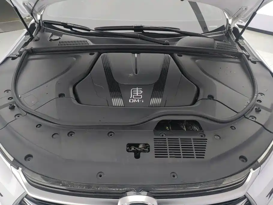 BYD Tang New Energy — миниатюра 10
