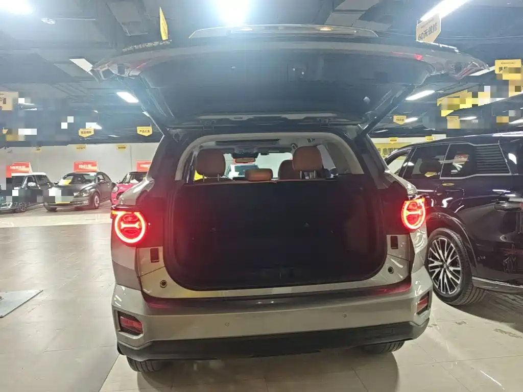 Haval Big Dog PLUS — миниатюра 19