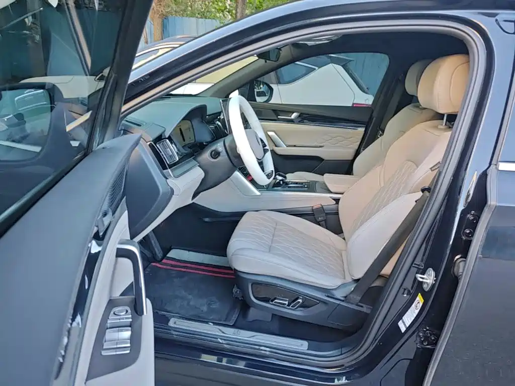 BYD Tang New Energy — миниатюра 16