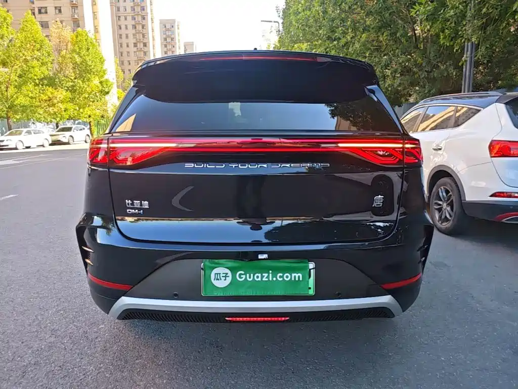 BYD Tang New Energy — миниатюра 6