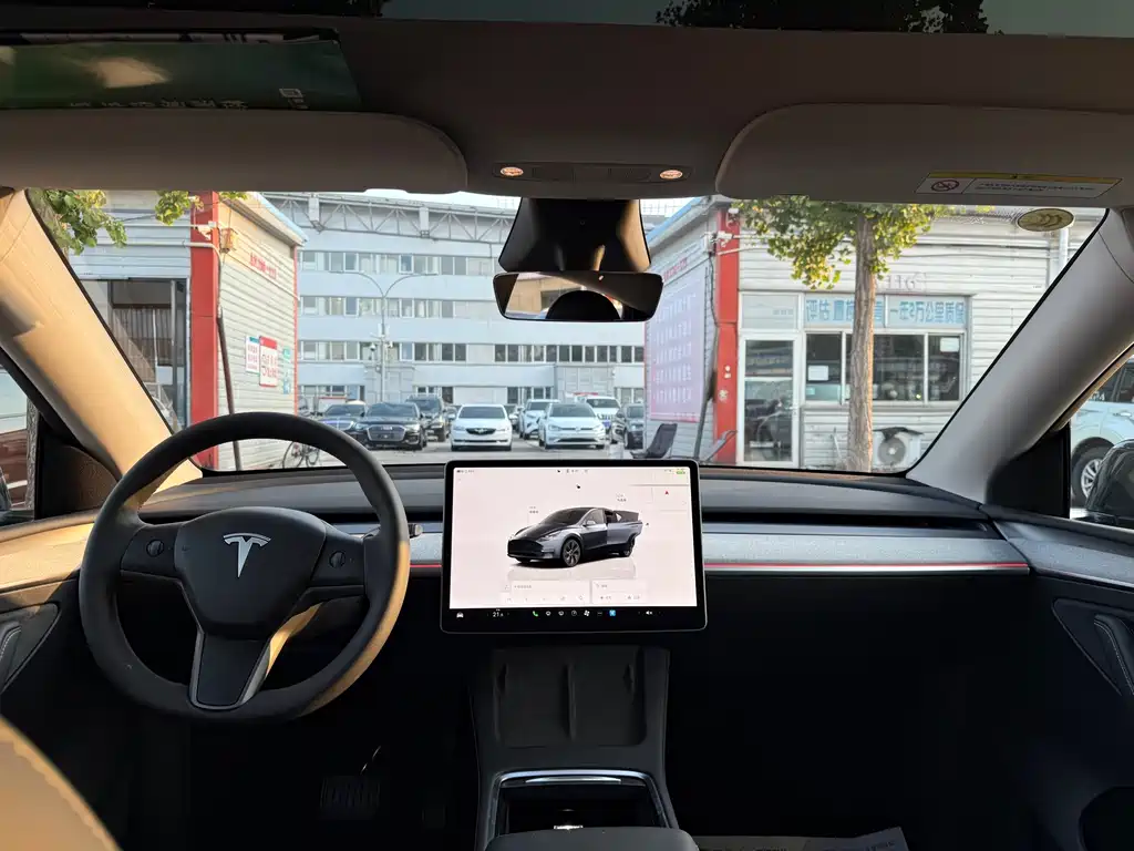 Tesla Model Y — миниатюра 5