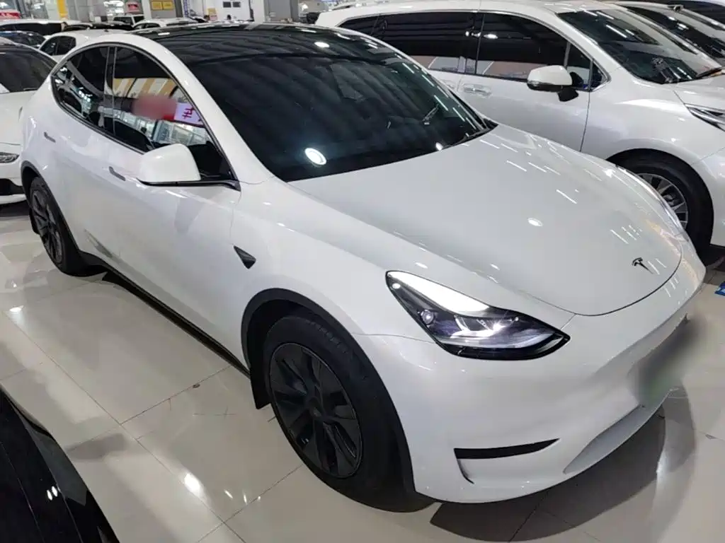 Tesla Model Y — миниатюра 22