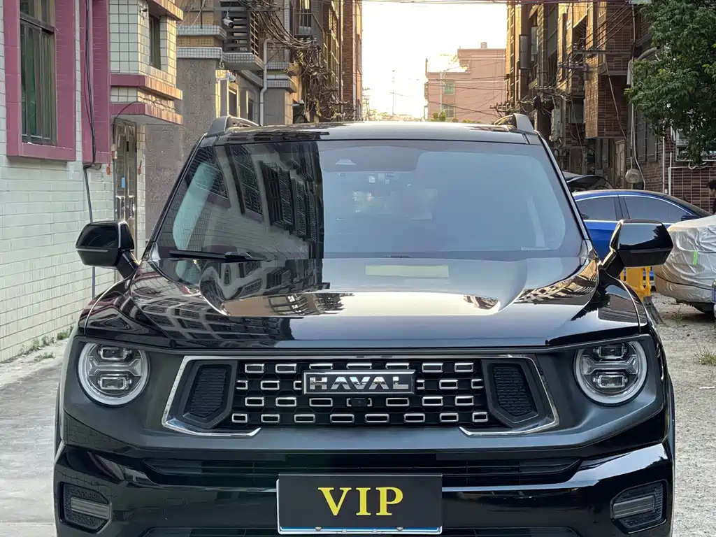Haval Big Dog PLUS — миниатюра 2