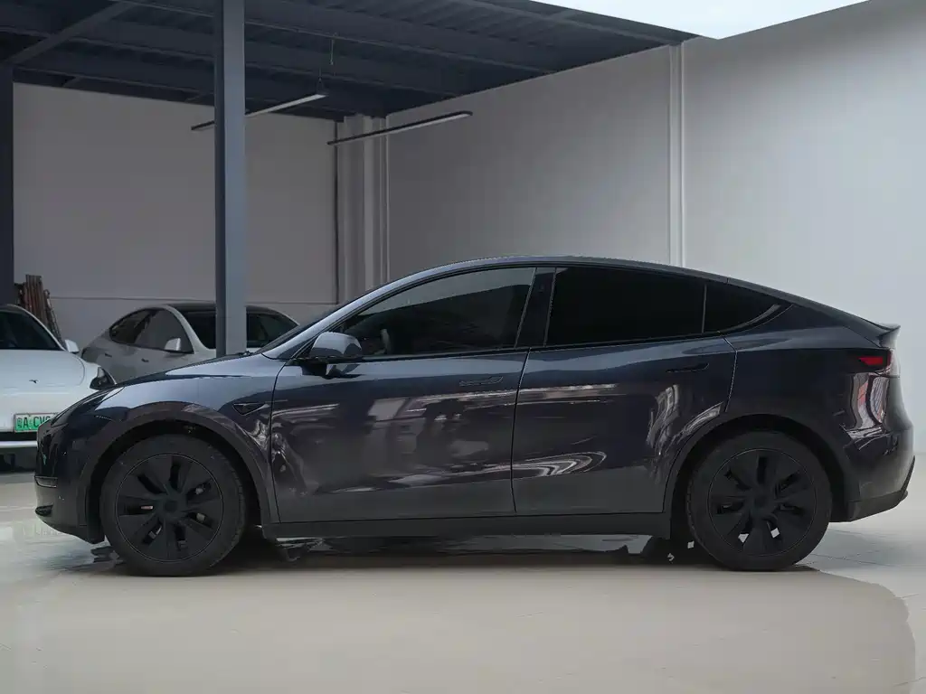 Tesla Model Y — миниатюра 3