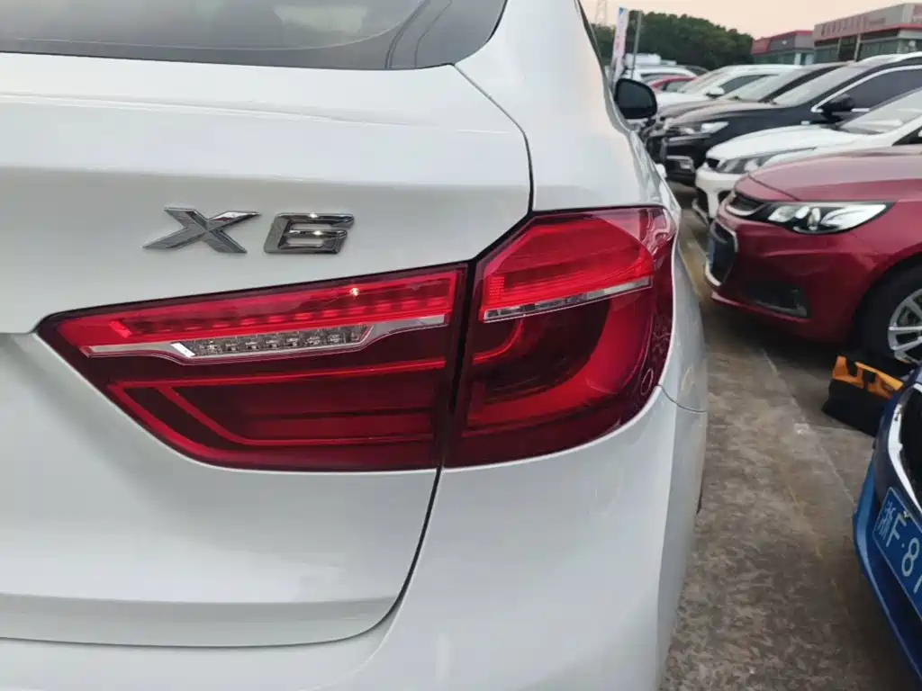 BMW X6 — миниатюра 8