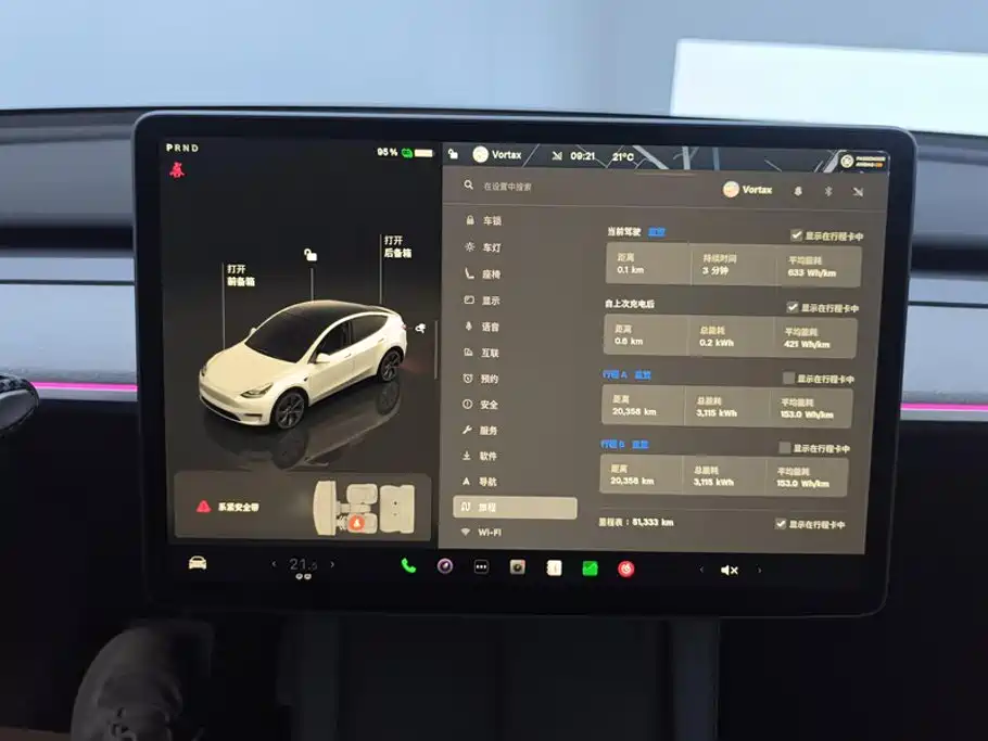 Tesla Model Y — миниатюра 14