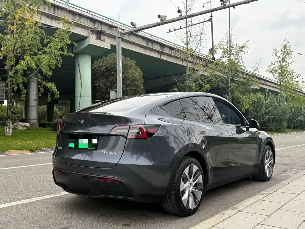 Tesla Model Y — миниатюра 9