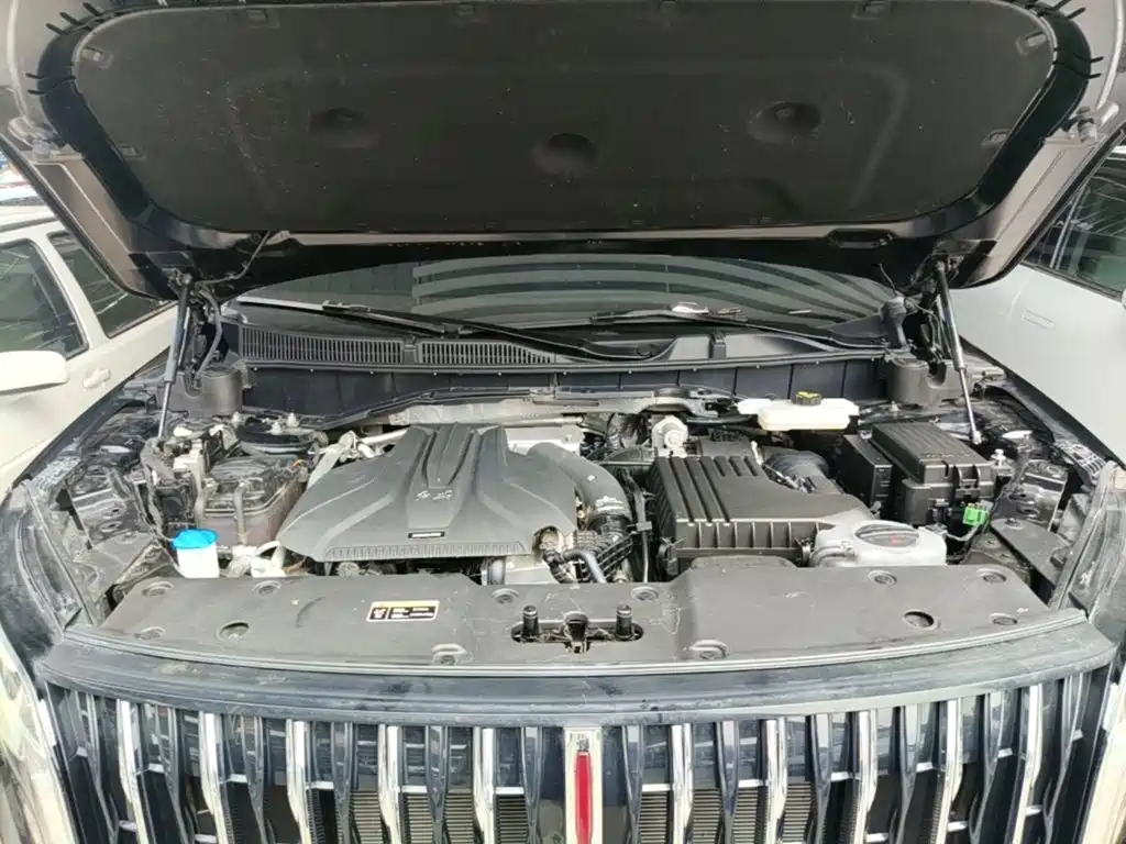 Hongqi Hongqi HS7 PHEV — миниатюра 20