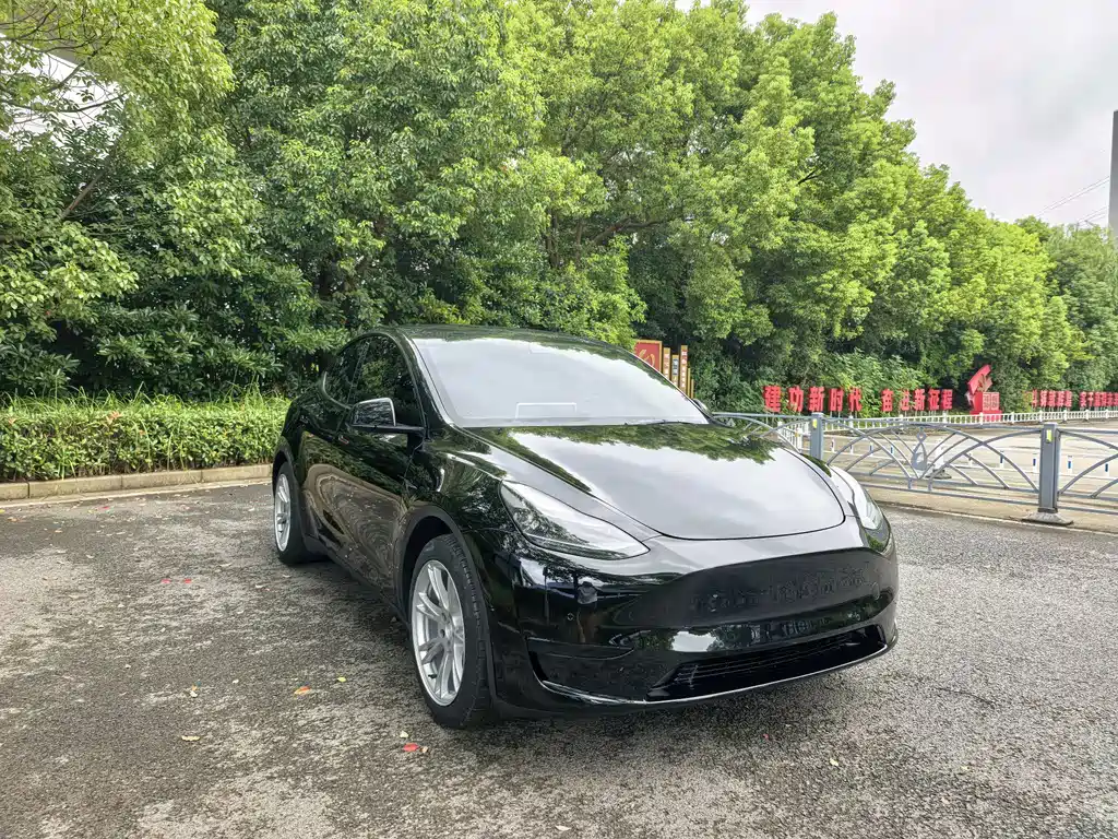 Tesla Model Y — миниатюра 3