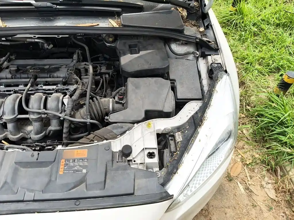 Ford Focus — миниатюра 21