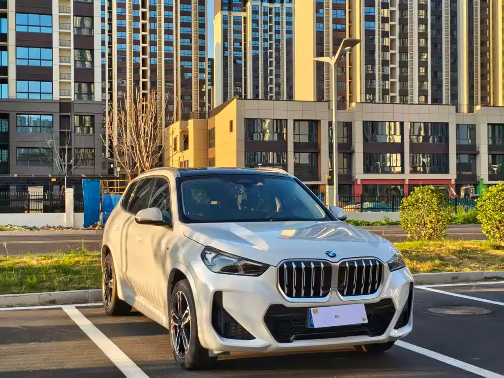 BMW X1 — миниатюра 2