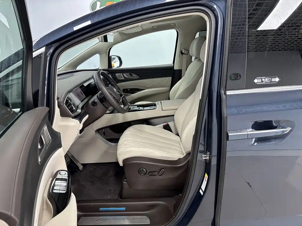 Denza Denza D9 — миниатюра 13