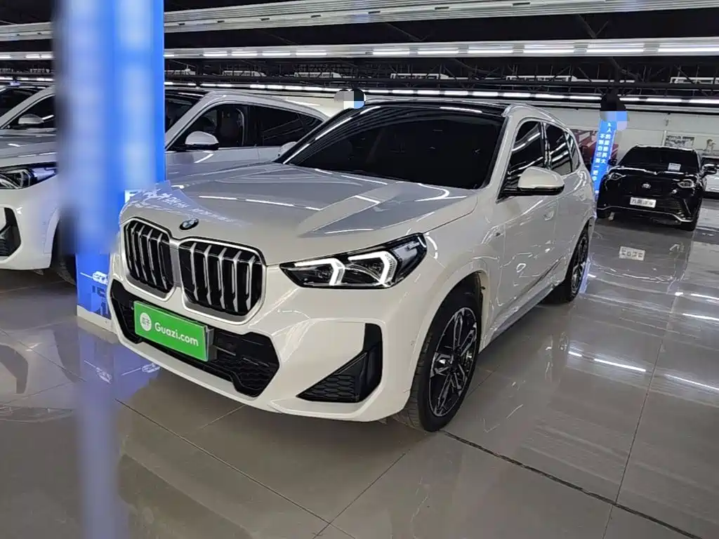 BMW X1 — миниатюра 2