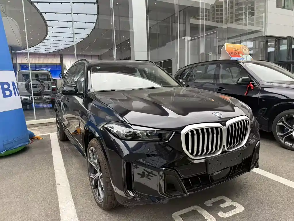 BMW X5 — миниатюра 2