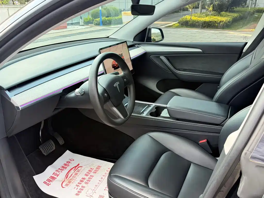 Tesla Model Y — миниатюра 6