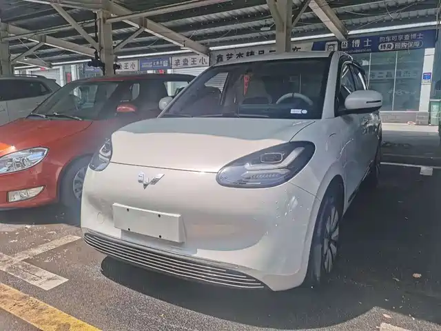 2024 Wuling Motors Binguo