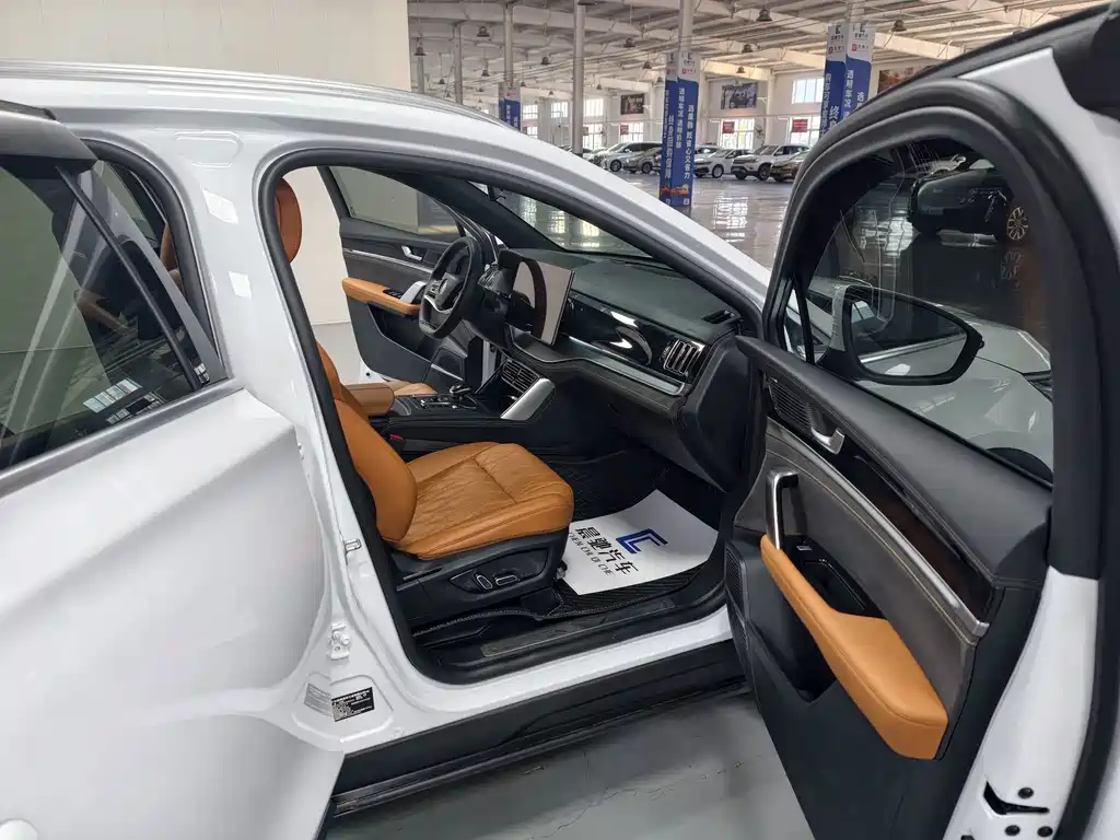 BYD Tang New Energy — миниатюра 16