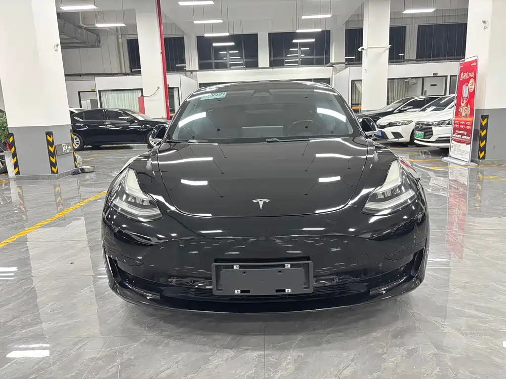 Tesla Model 3 — миниатюра 2