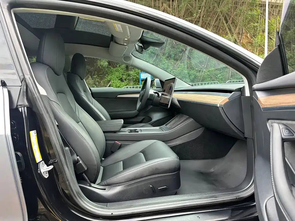 Tesla Model 3 — миниатюра 11