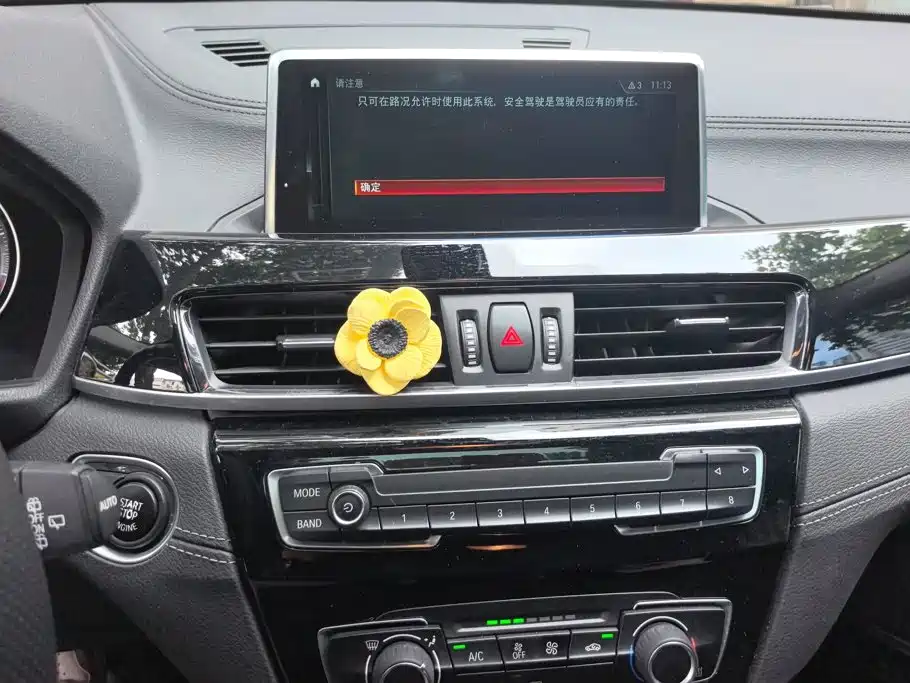 BMW X2 (Import) — миниатюра 13