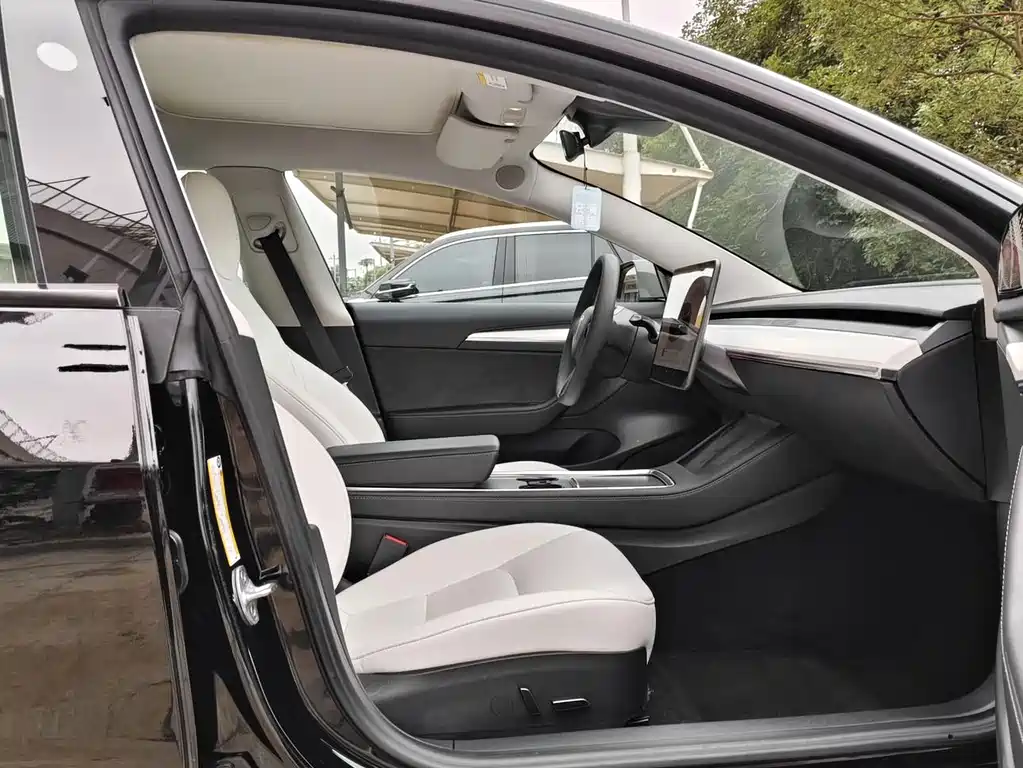 Tesla Model 3 — миниатюра 13