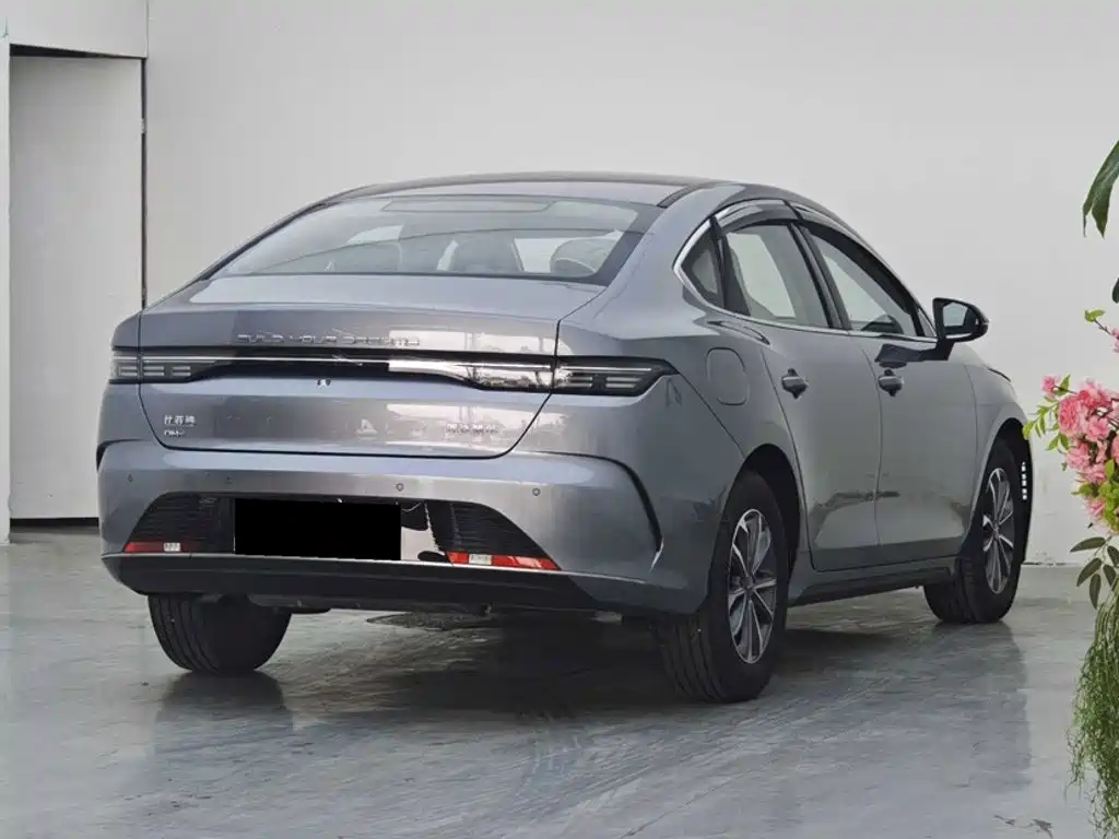 BYD Destroyer 05 — миниатюра 8