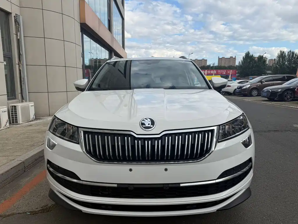 Skoda Karoq — миниатюра 2