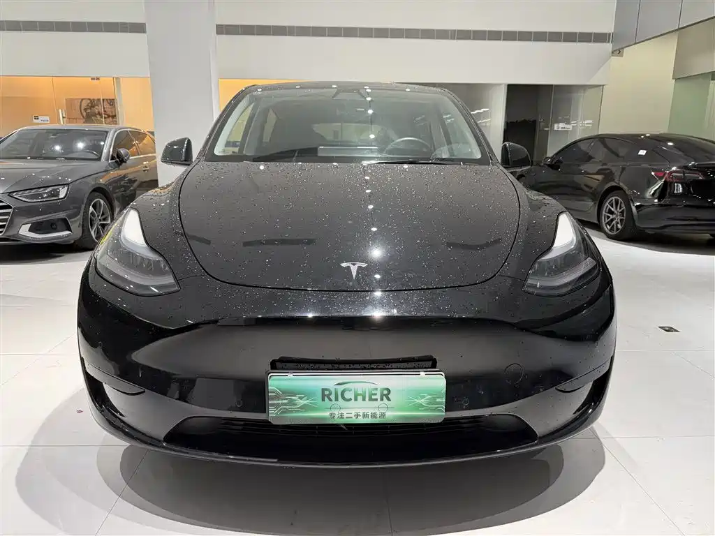 Tesla Model Y — миниатюра 2