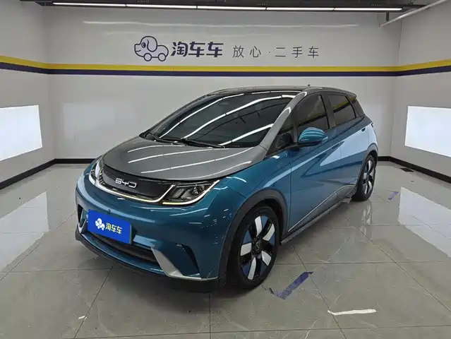 2022 BYD Dolphin