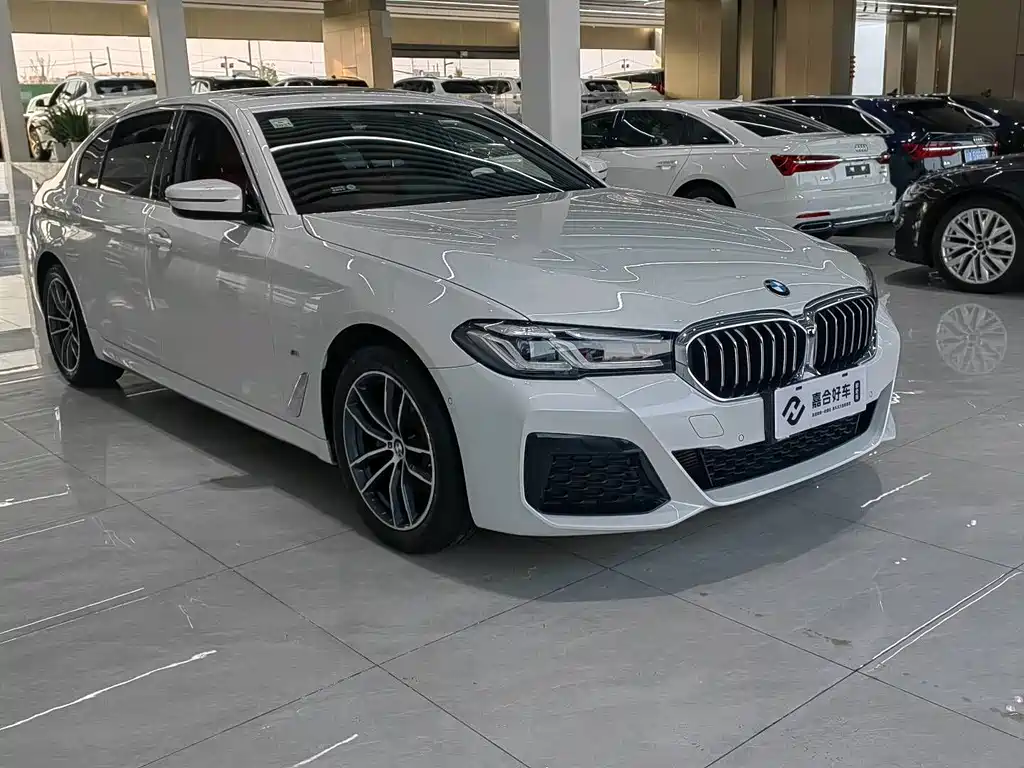BMW 5 SERIES