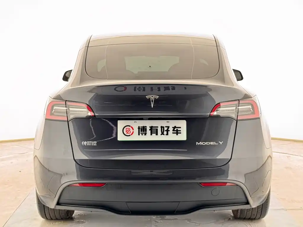Tesla Model Y — миниатюра 12