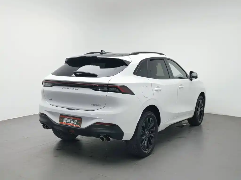 Fengxing Fengxing T5 EVO — миниатюра 2