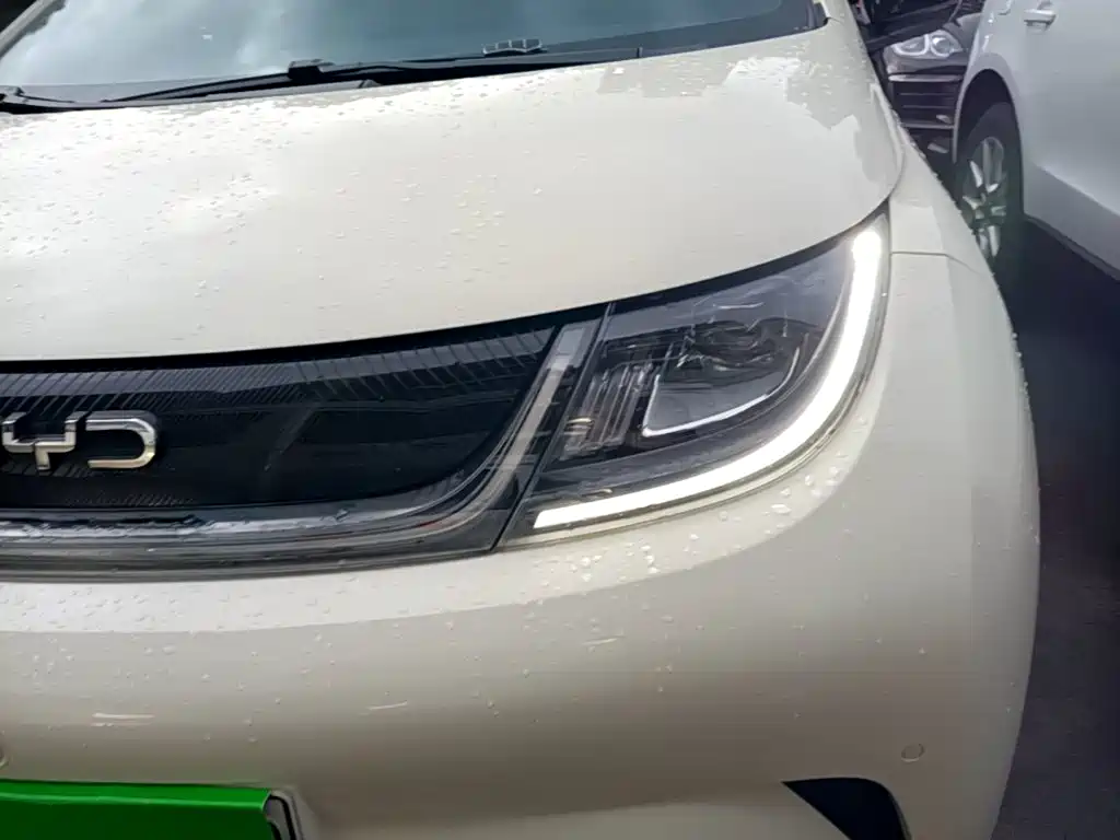 BYD Dolphin — миниатюра 24