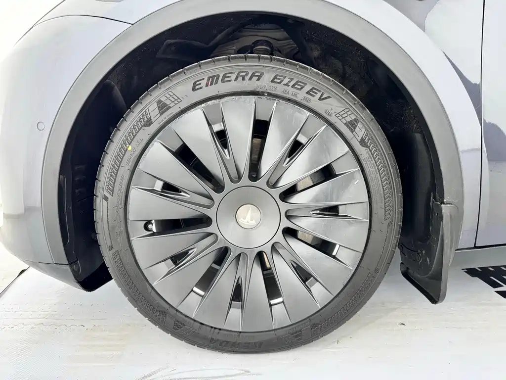 Tesla Model Y — миниатюра 15