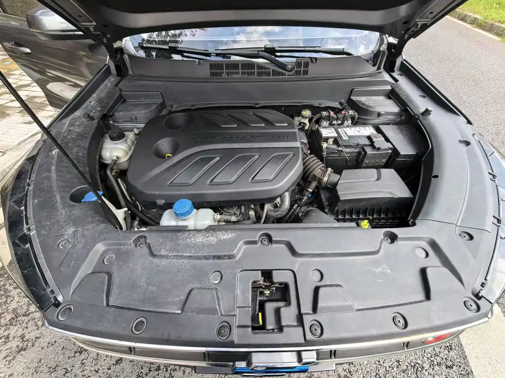 Oshan X5 1.5T DCT Premium Type, фото 16