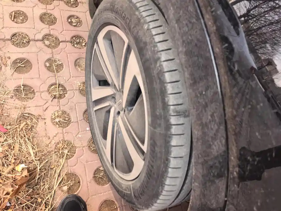 WEI PAI WEI BRAND BLUE MOUNTAIN