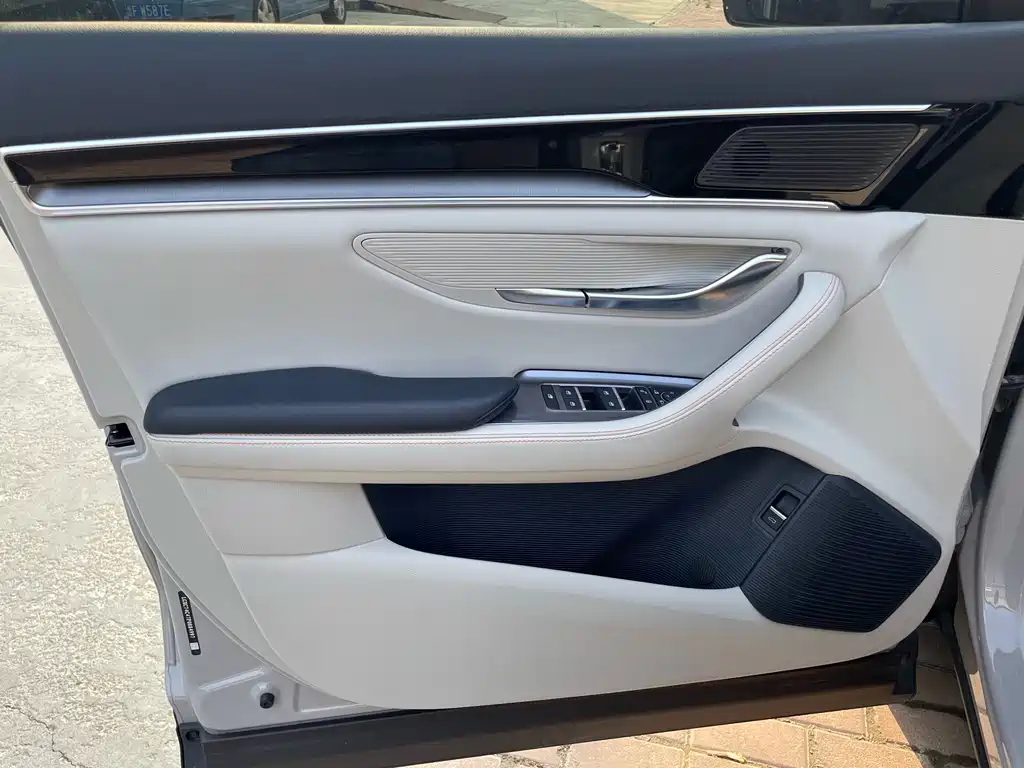 BYD PLUS New Energy — миниатюра 14