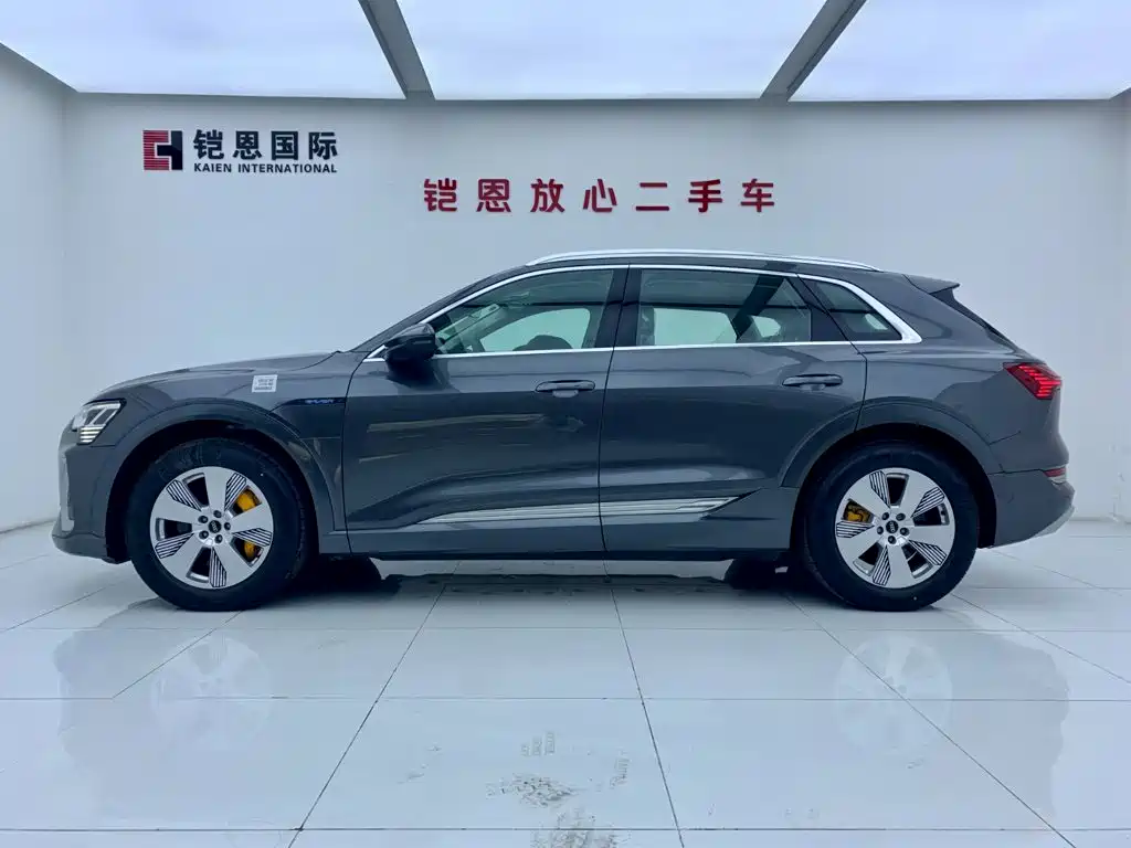 Audi e-tron — миниатюра 4
