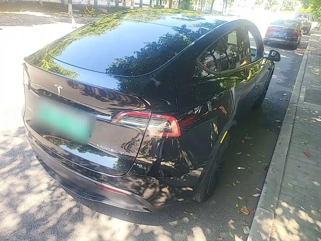 Tesla Model Y — миниатюра 7