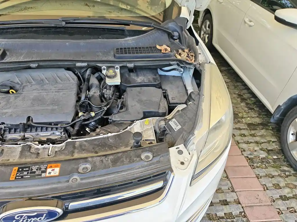Ford Kuga — миниатюра 23